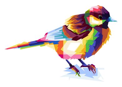 Glatic Birds in Colorful