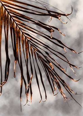 golden foliage