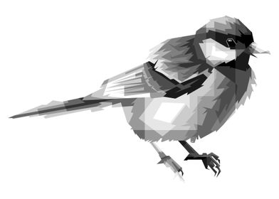 glatic bird grayscale