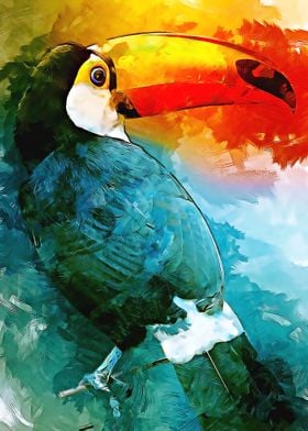 Toucan