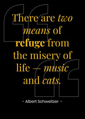 Albert Schweitzer quotes