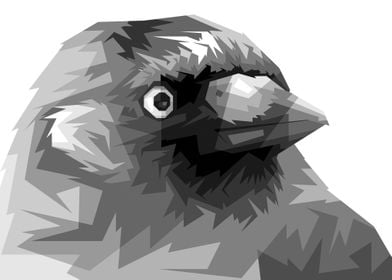 bird head grayscale 3