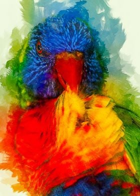 Parrot