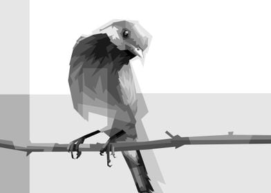 bird grayscale popart 2