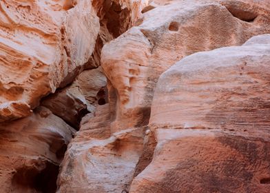 Petra Jordan