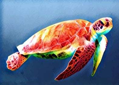 Colorful Turtle