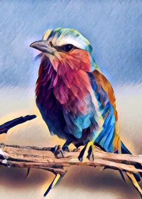 A colorful sparrow