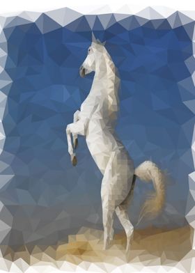 White desert horse