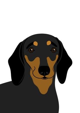 Dachshund Dog Portrait