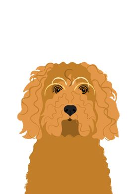 Cockapoo Dog Pet Portrait