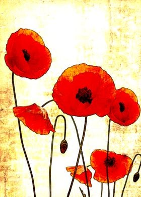 Bright poppy