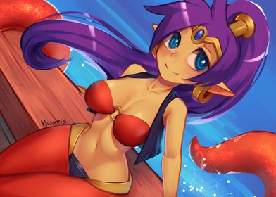 Shantae Ship trip