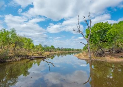 Lake Panic Kruger Park