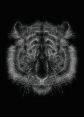 Tiger Black White