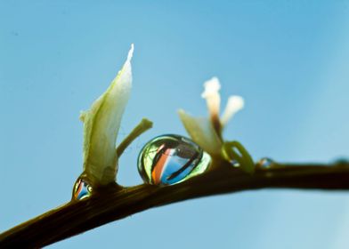 Colorful water droplet