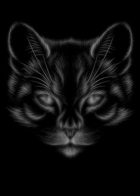 Cat Black White