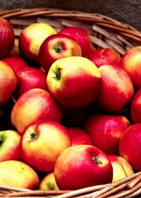 Apples In A Wicker Basket