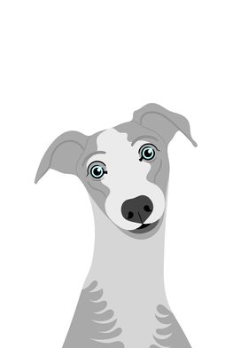 Whippet Dog Portrait