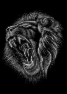 Lion Black White