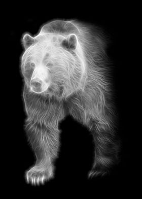 Bear Black White