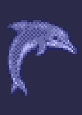 Ecco The Dolphin