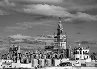 The Seville Cathedral