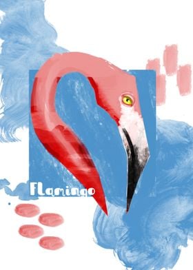 Flamingo