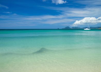 Caribbean Landscape