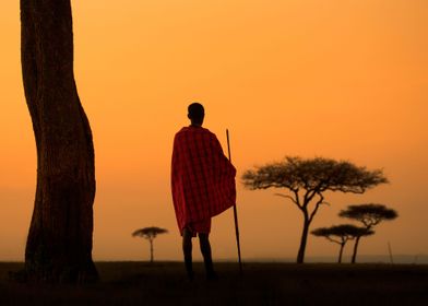 Maasai Warrior