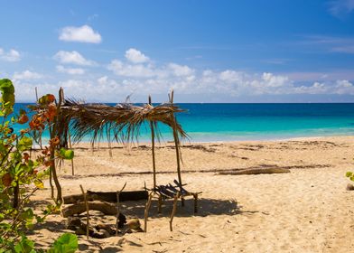 Tropical Sandy Beach