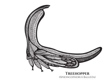 Treehopper S Ballista