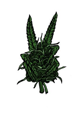 cannabis peace Art