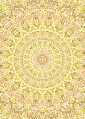 Ornate Hippie Kaleidoscope