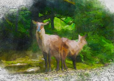 Deer Wet Paint