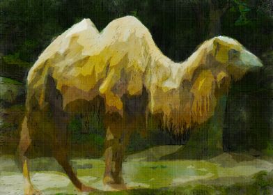 Camel wet paint