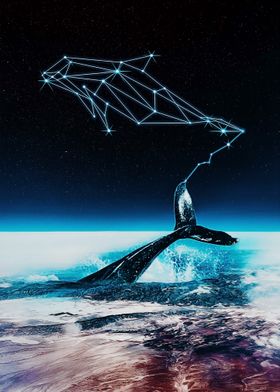 Whale constellation