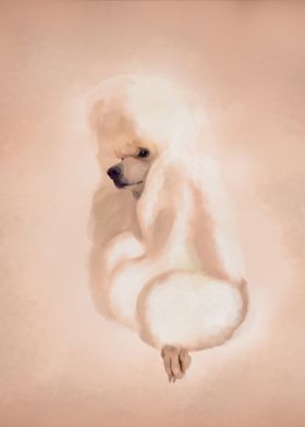 Elegant White Poodle