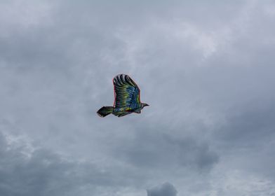 Kite