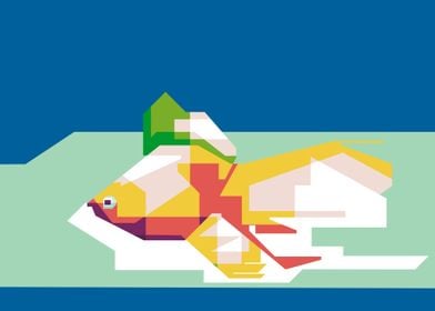 Fish in WPAP