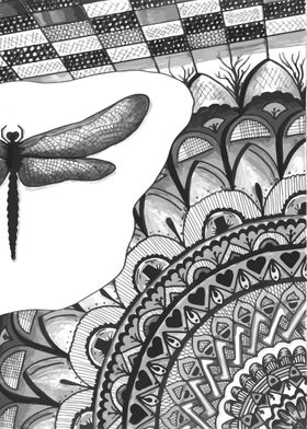 dragonfly with mandala