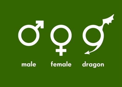 Male Female Dragon