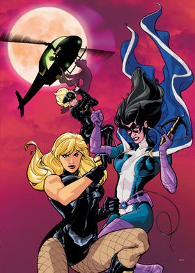 Birds Of Prey-preview-2