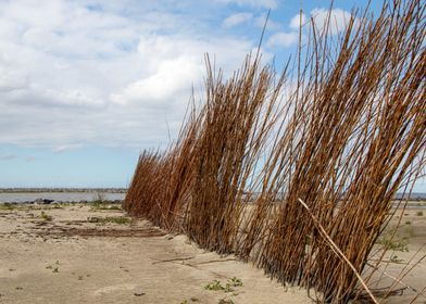 Seaside beach