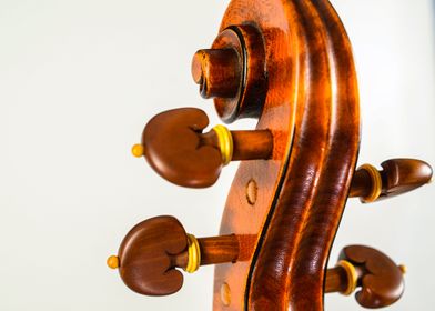 Violin head detail