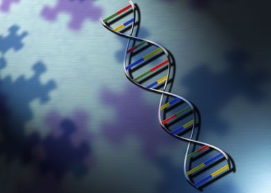 DNA Solutions