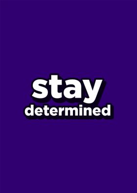 STAY