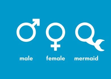 Male Female Mermaid