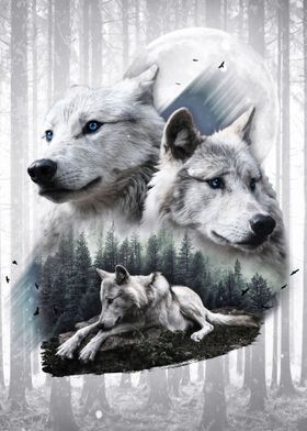 White Wolves 