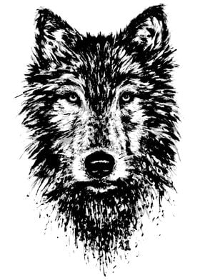 Wolf Ink Dripping