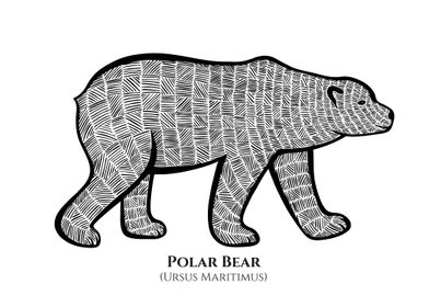 Polar Bear with Names
